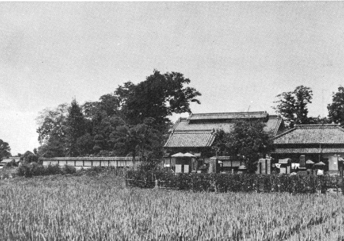過去の写真